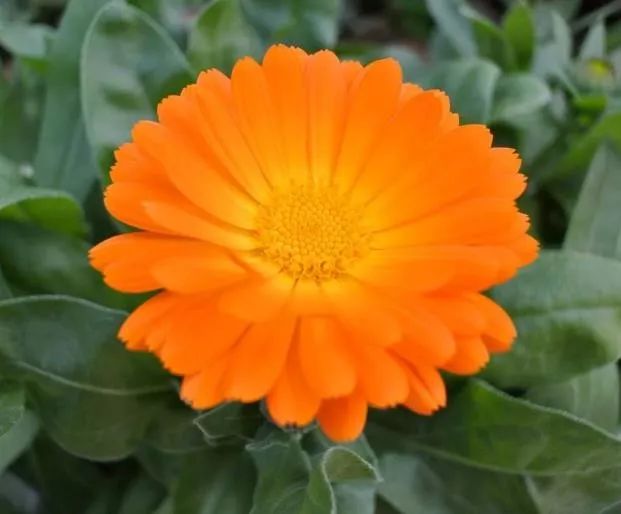 天天励志正能量@生命那么短，别总让自己太为难