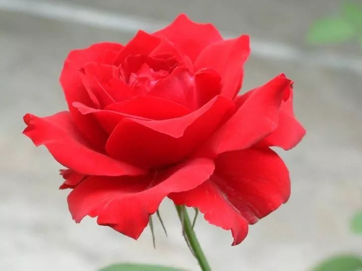 天天励志正能量@生命那么短，别总让自己太为难