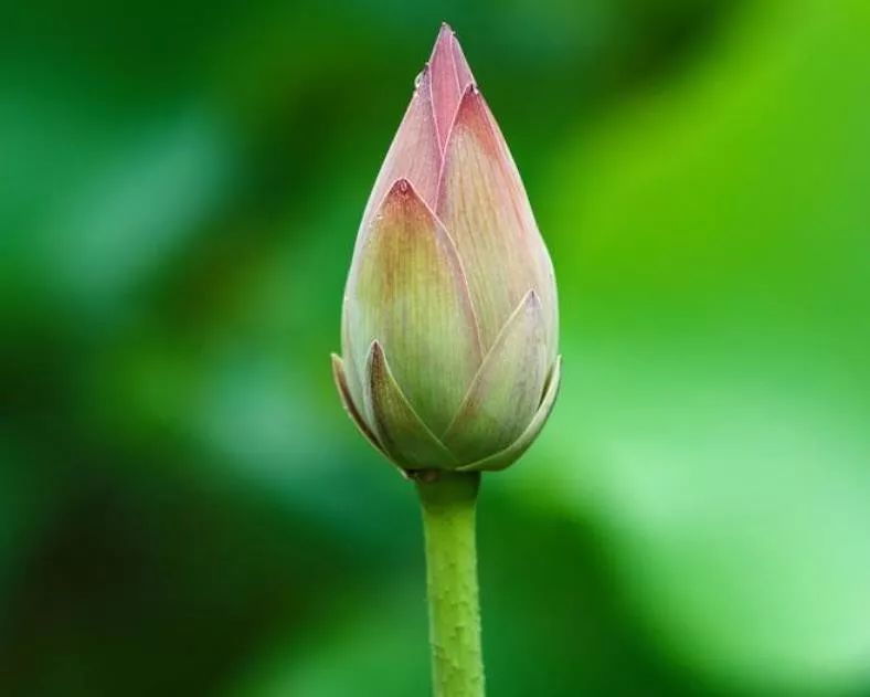 天天励志正能量@生命那么短，别总让自己太为难