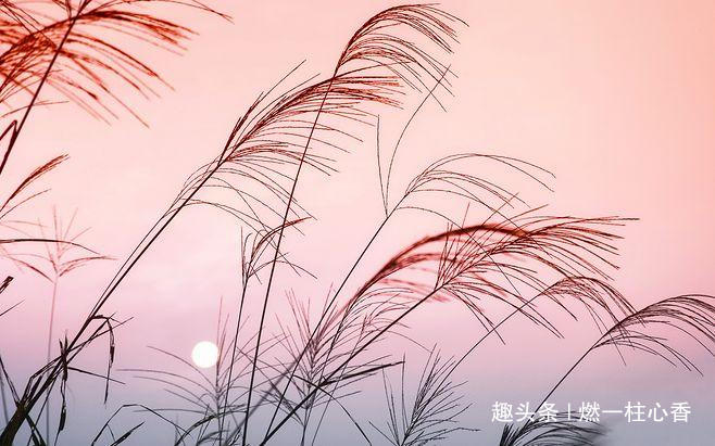 【燃一柱心香】人生中年，懂得“尊重”别人，修养也就提高了