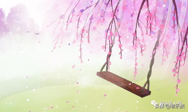 励志情感天窗@把现在过好就是最好的养老了！说的太好了