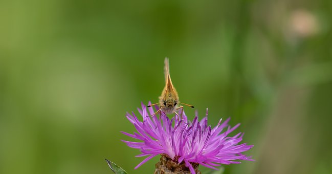 「生活万万千」人生很多时候，是选择并做了，才有机会看到希望，句句励志