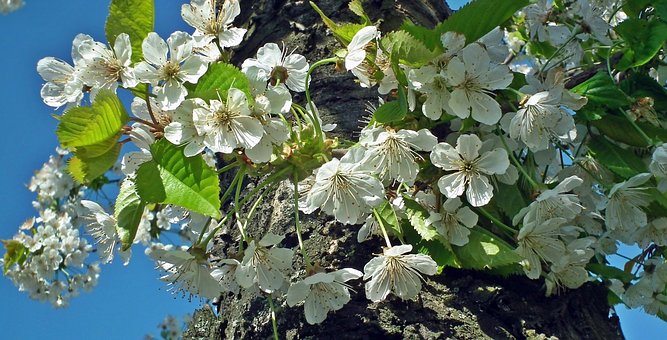 「生活万万千」人生很多时候，是选择并做了，才有机会看到希望，句句励志