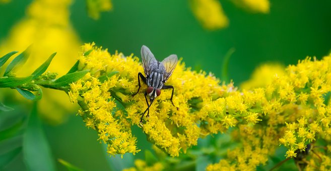 「生活万万千」人生很多时候，是选择并做了，才有机会看到希望，句句励志