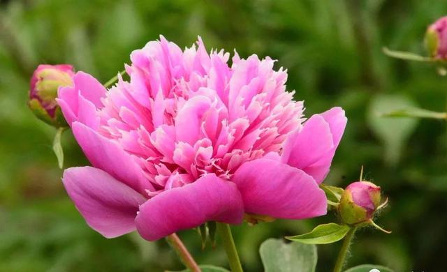 春风知雨：今生请善待每一个人，因为没有下辈子