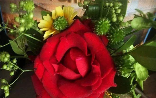 春风知雨：今生请善待每一个人，因为没有下辈子