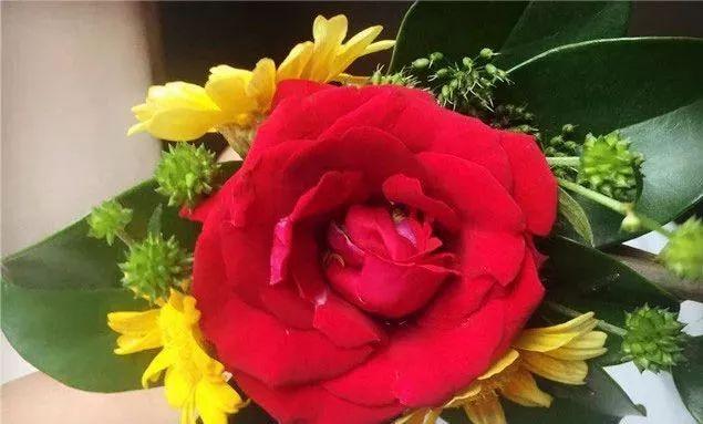 春风知雨：今生请善待每一个人，因为没有下辈子