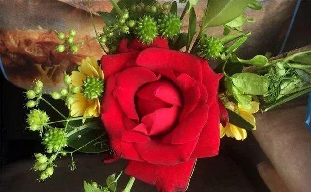 春风知雨：今生请善待每一个人，因为没有下辈子