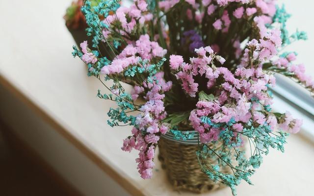 凌小麦■余生，该放的放，该忘的忘