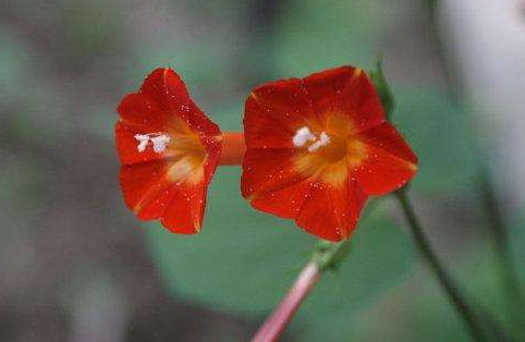 人生励志美文：人就这样，得不到的都是最好的，留不住的是最珍贵的！