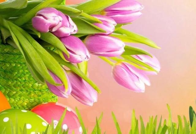 [老皮励志]蜘蛛勤织网，总有飞来虫，一份耕耘，一份收获