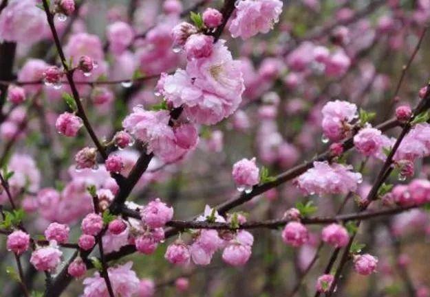 [老皮励志]蜘蛛勤织网，总有飞来虫，一份耕耘，一份收获