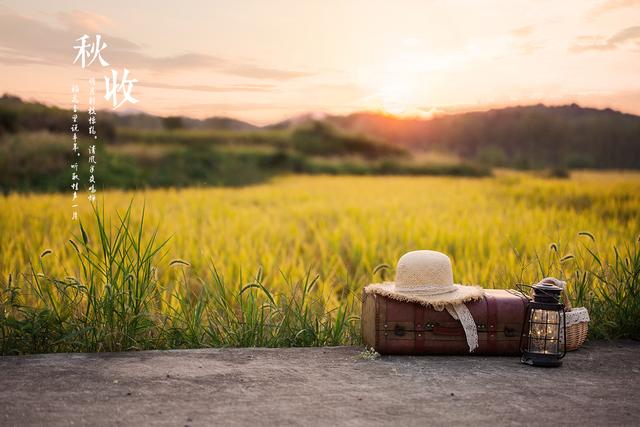 [励志宝儿]一晃秋天到了，收割的季节，满满的稻香，还有天真无邪的圆圆