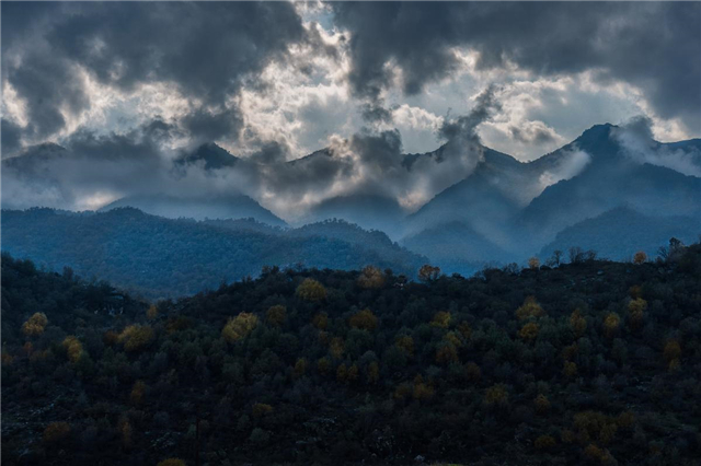 「同路人老张」不敢浪费时间，怕几年后生了孩子没钱买奶粉