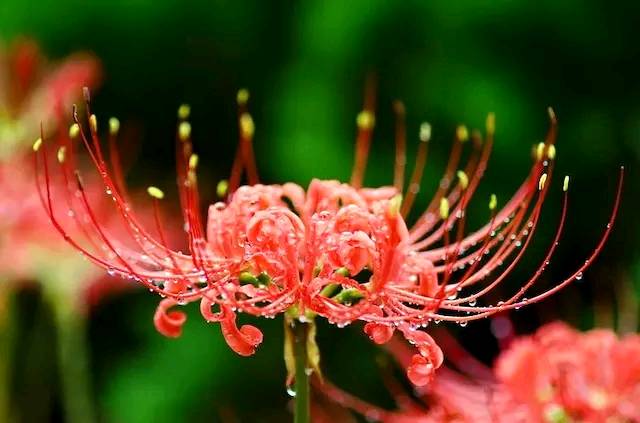 【道与欢同学】坦诚守信就是好处，善良半分就是福气。