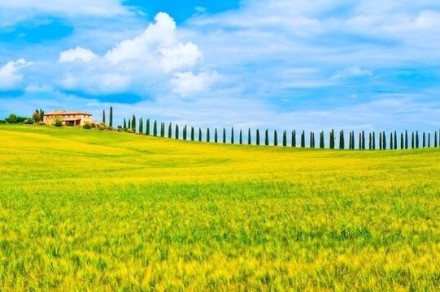 【心灵客栈一】以淡然的心，随生活流转