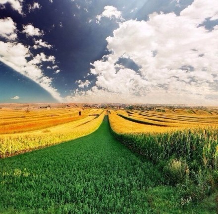 【心灵客栈一】以淡然的心，随生活流转