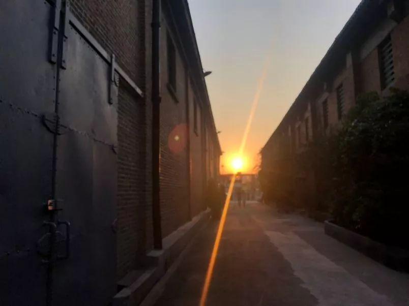 新中树洞：请不要看不起烦恼