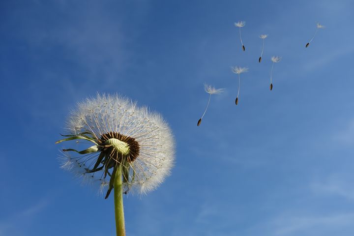 [唯美人生语录]金钱损失了还能挽回，一旦失去信誉就很难挽回，人生经典语录分享