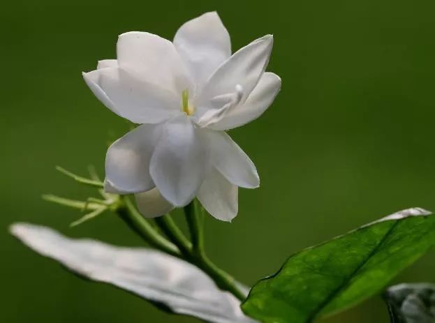 【天天励志正能量】做人，别太敏感，别太玻璃心
