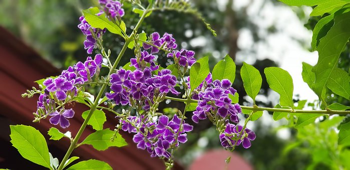 生活万万千：改变会痛苦一阵子，不改变会痛苦一辈子，句句经典励志