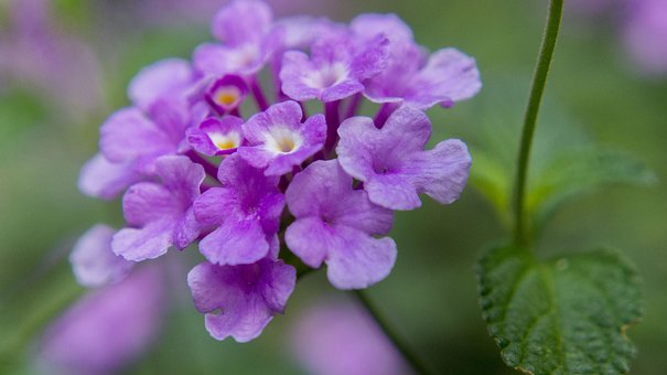 生活万万千：改变会痛苦一阵子，不改变会痛苦一辈子，句句经典励志