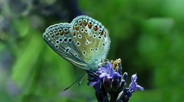 生活万万千：改变会痛苦一阵子，不改变会痛苦一辈子，句句经典励志