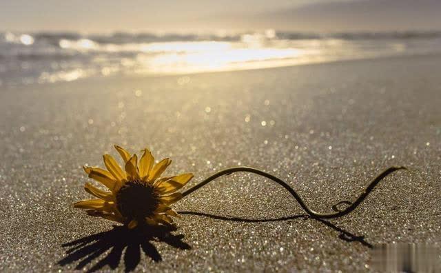 文学粉■扎心的话告诉你什么是现实