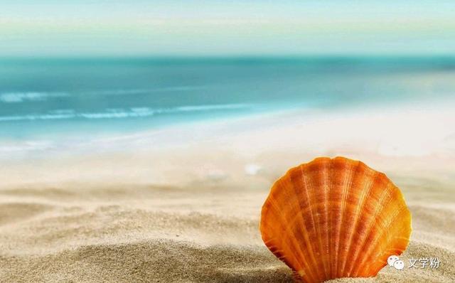 文学粉■扎心的话告诉你什么是现实