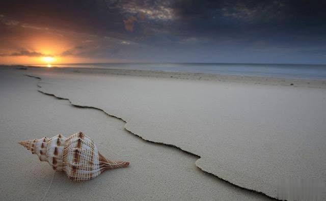 文学粉■扎心的话告诉你什么是现实