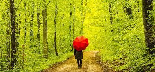 [小莉情感励志说]温和笃定地过一生