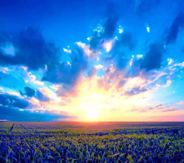 [小莉情感励志说]温和笃定地过一生