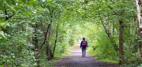 [小莉情感励志说]温和笃定地过一生