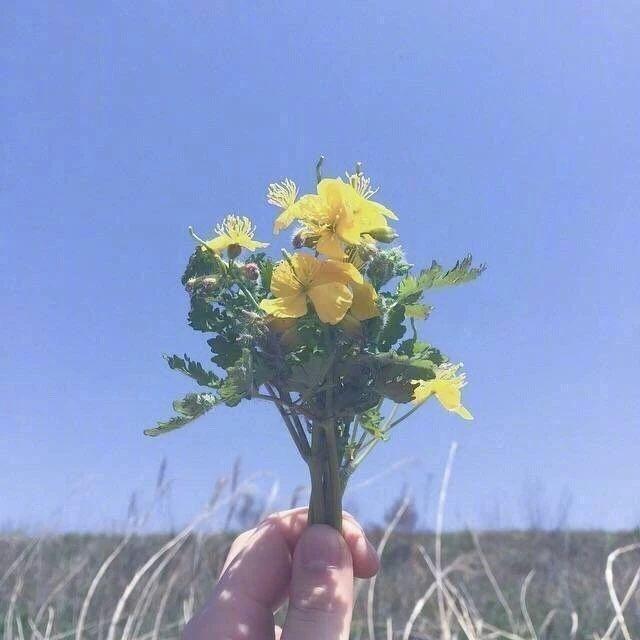 霓167110298@微信式恋爱：真爱你的人，从不会这样