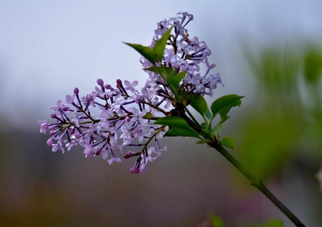 「心理观察家」对自己说一句，辛苦了