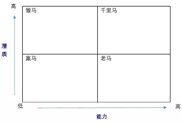 「励志瑾康」人才盘点十二宫格，看一下你是伯乐眼中的哪种马？