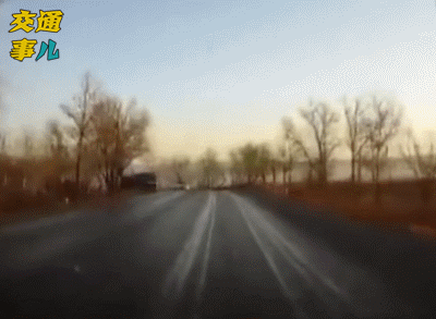 「家有汽车」一组动图提醒你：借道超车要果断，司机误判把命断