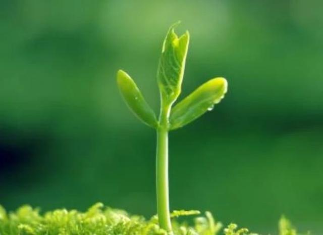 健身励志录@也许，这些就是幸福？