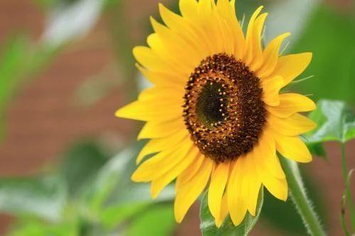 健身励志录@也许，这些就是幸福？