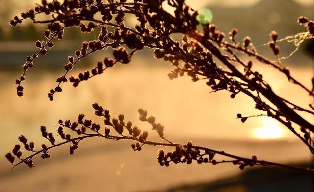 国学书舍TB■世界苍茫，唯有信仰，才是最好的力量