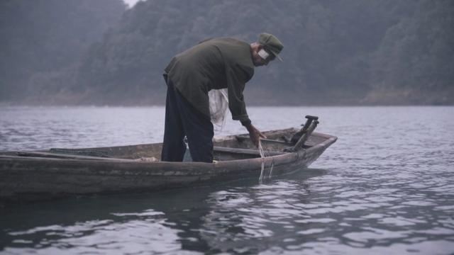 睿爸美食：我的家在农村 之 美丽的风景，从不缺少欣赏美的人