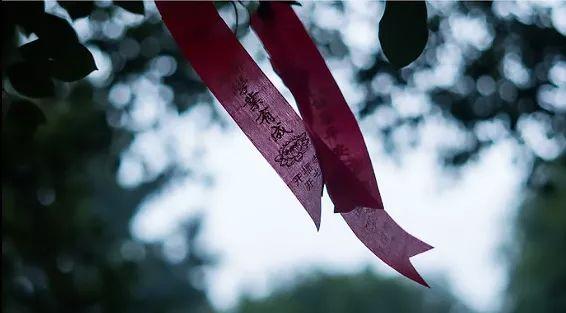 金微姐姐@中国最美妙的音乐：别让任何人打乱你生活的节奏