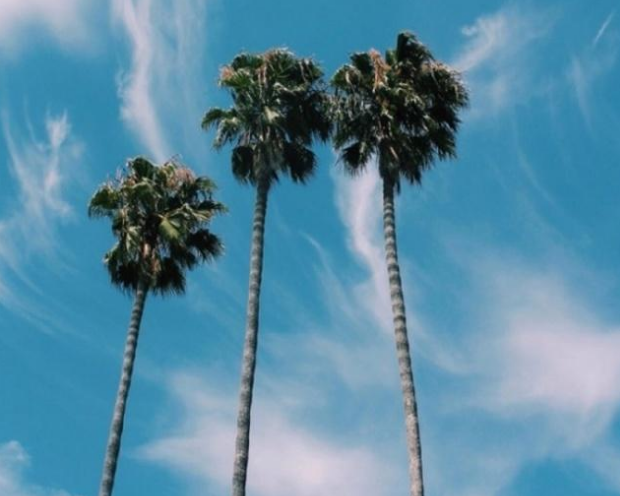 #娱乐菀菀#心碎了无痕，我感动天感动地，就是感动不了你。