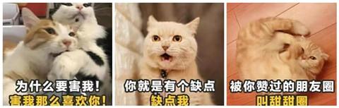 [跟着浪迹去恋爱]两性关系中，女生最看重男生的哪些方面？