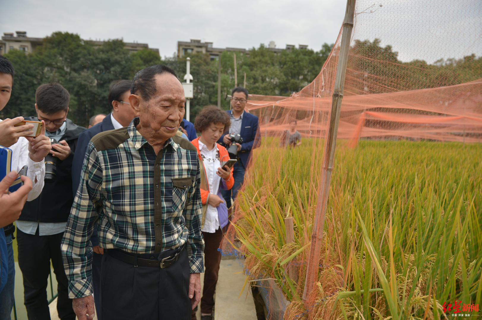 平均亩产1046.3公斤！第三代杂交水稻首次专家测产 袁隆平来了