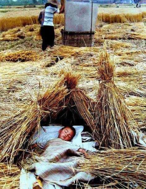 浅浅情感说：还记得小时候，我们在田间地头自由自在的日子