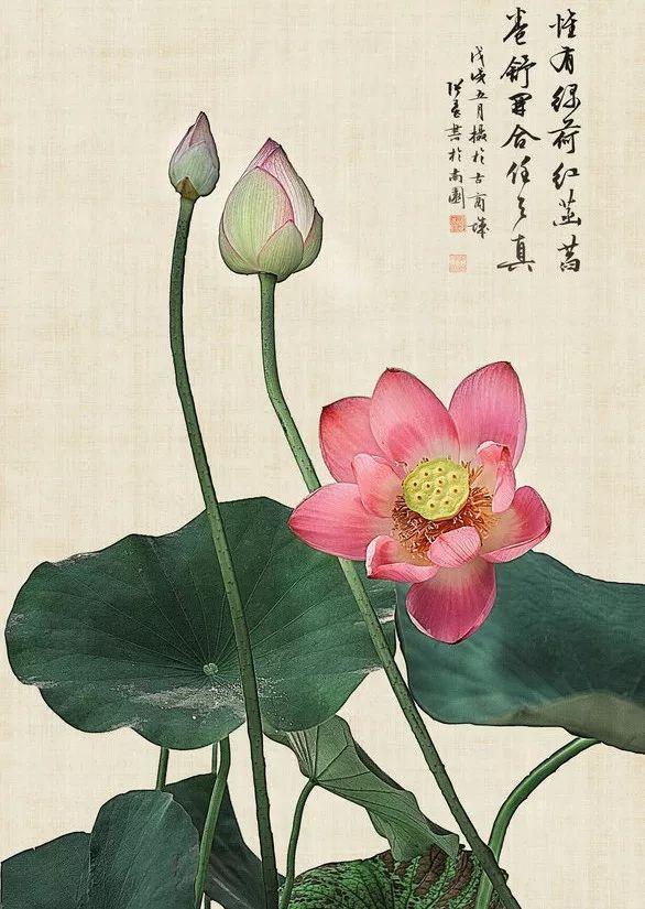 [美文鉴赏]道德经：福泽深厚的人，常读这四句话！