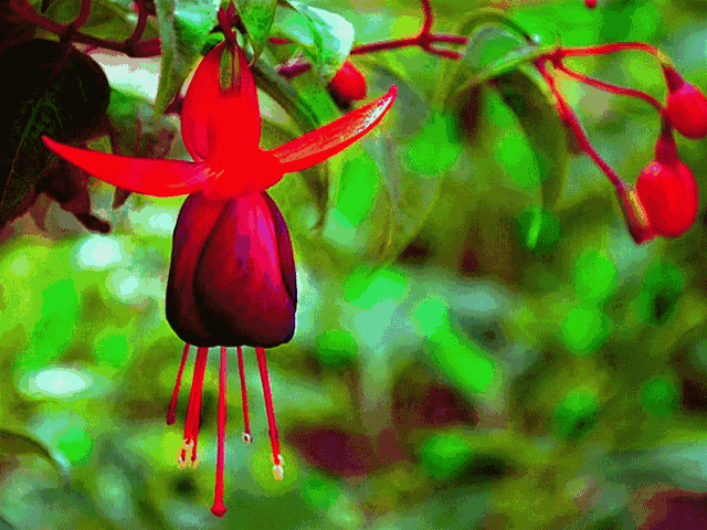 校园留声机■万全人生幸福相册，太漂亮了，保存在手机里，一生幸福如意