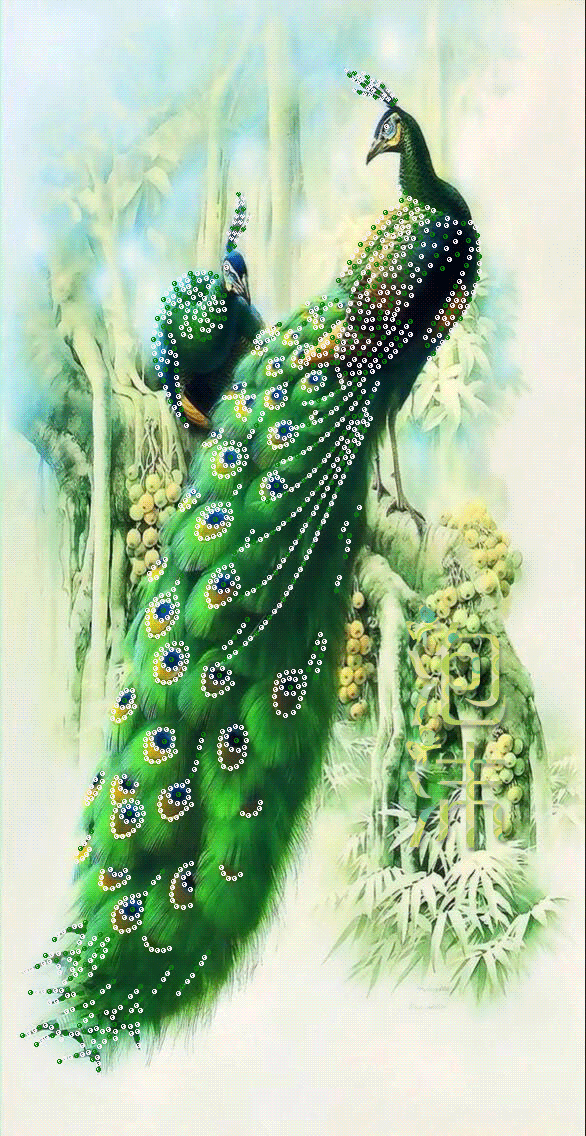 校园留声机■万全人生幸福相册，太漂亮了，保存在手机里，一生幸福如意