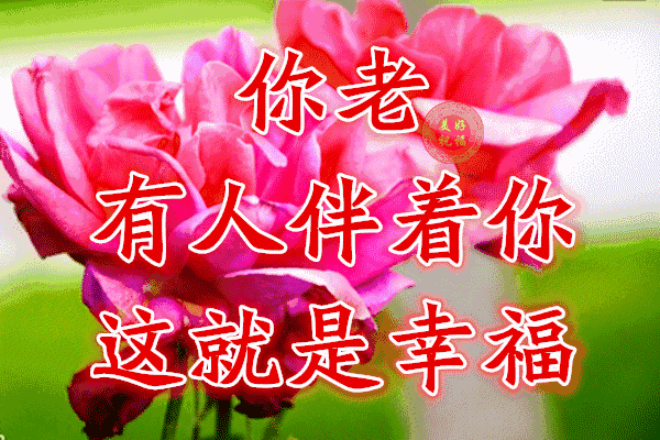 校园留声机■万全人生幸福相册，太漂亮了，保存在手机里，一生幸福如意